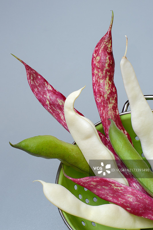 各种豆类：蚕豆、可可豆和博洛蒂豆图片素材