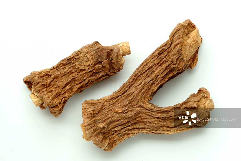 印度高良姜图片素材