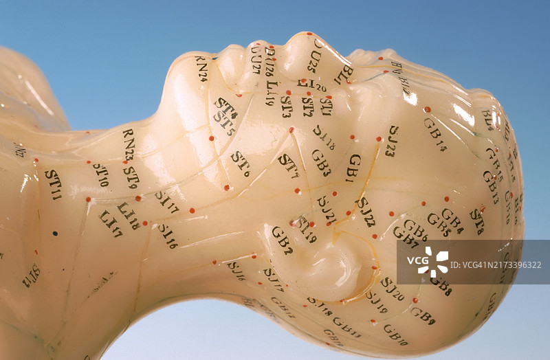 针灸，人体穴位，在替代疗法从业者的练习模型上显示图片素材