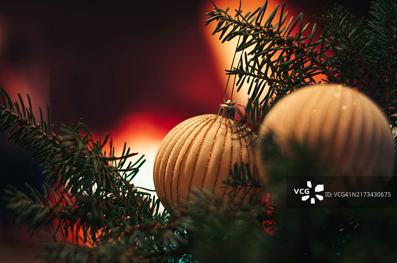 圣诞树特写图片素材