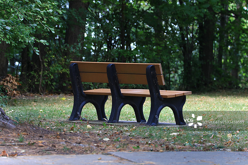 树木繁茂的自然保护区中的公园长椅图片素材