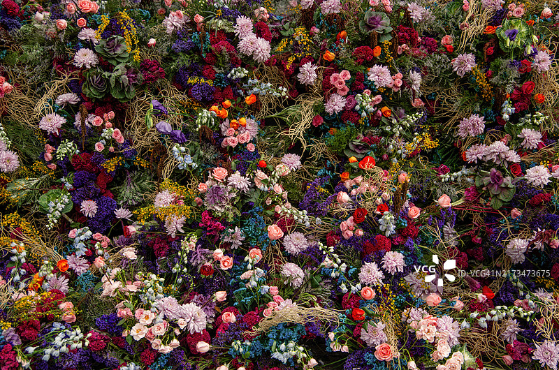 墙面上精美的大型花卉装饰图片素材