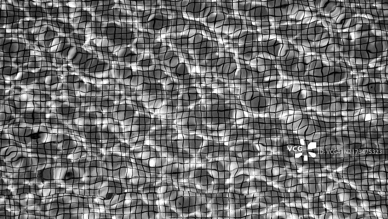 波光粼粼的瓷砖泳池黑白特写，葡萄牙波尔图图片素材