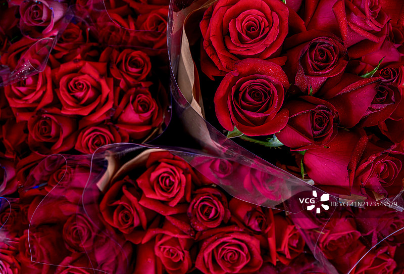 玫瑰花束特写图片素材