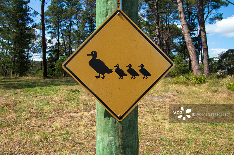 乡村道路木杆上的鸭子过街标志图片素材