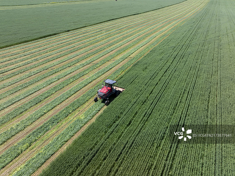 草原拖拉机收割牧草航拍图片素材