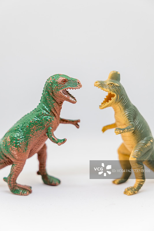 霸王龙和盔龙战斗的特写图片素材