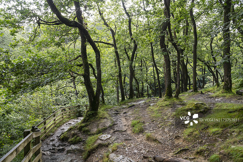 北约克郡英格尔顿瀑布步道，英格兰图片素材