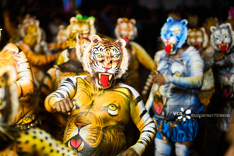 普利卡里2024上的黄色和蓝色彩绘老虎舞者图片素材