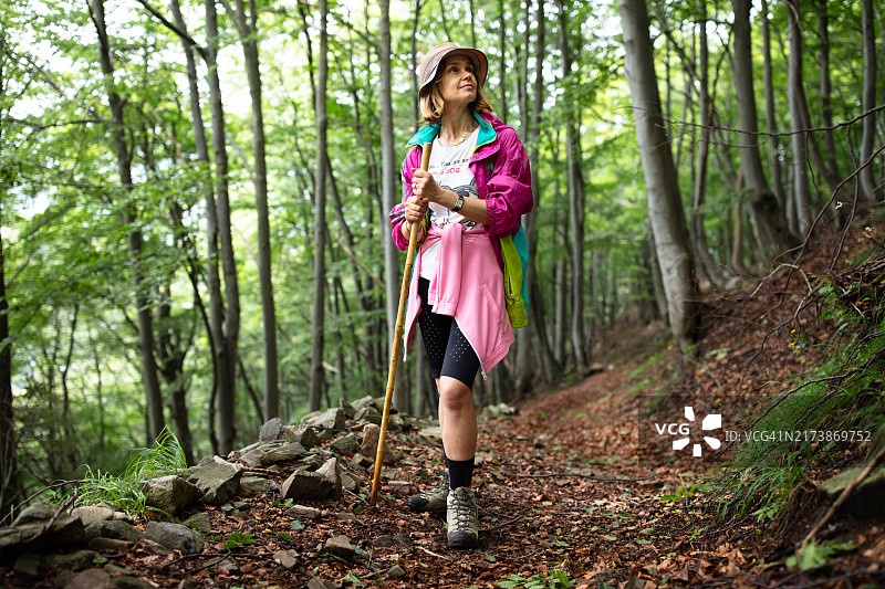 阿尔卑斯山徒步旅行和森林浴图片素材