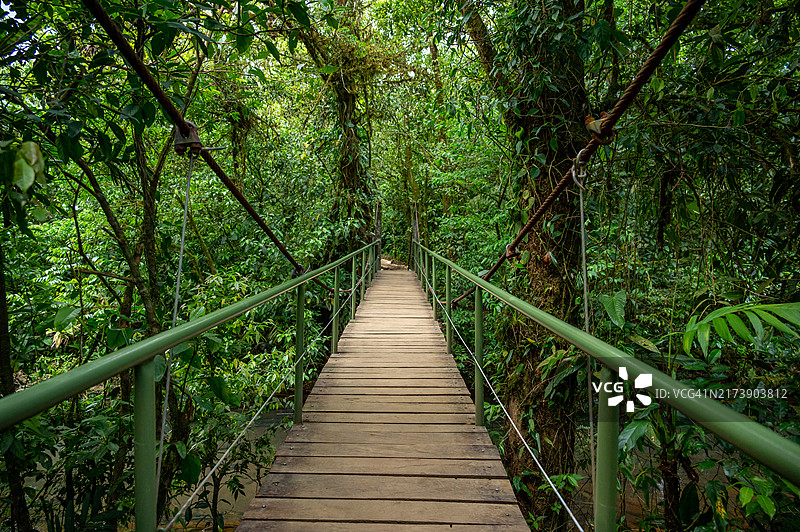哥斯达黎加特诺里奥火山国家公园的塞莱斯特河上的桥梁图片素材