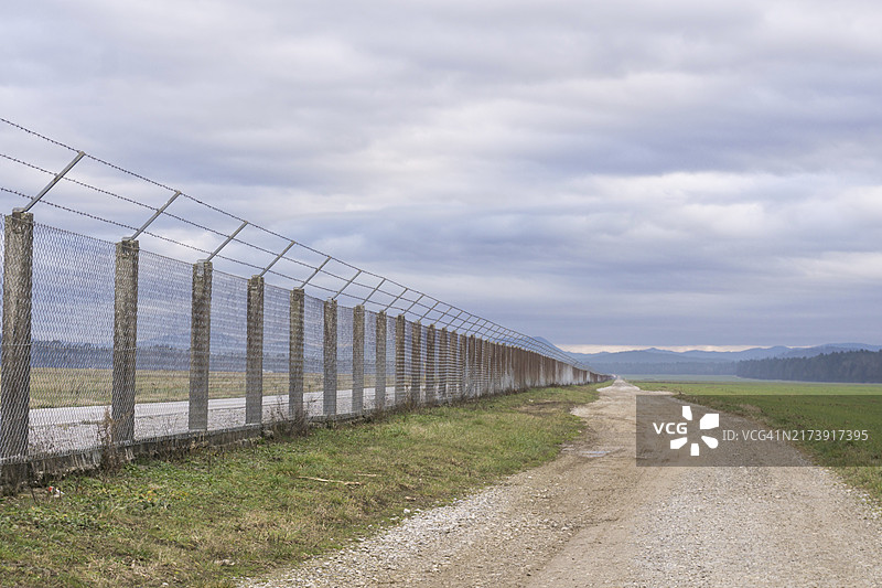 延伸至地平线的乡村公路与孤树图片素材
