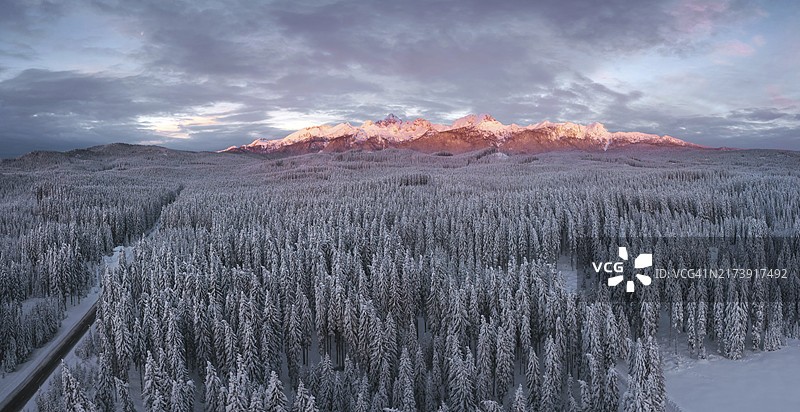 雪景冬日森林航拍，远山松柏，清晨霞光图片素材