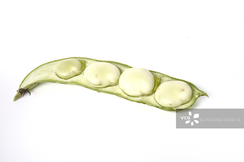 白色背景上的蚕豆图片素材