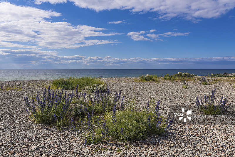 瑞典厄兰岛波罗的海沿岸的海王星巨石区图片素材