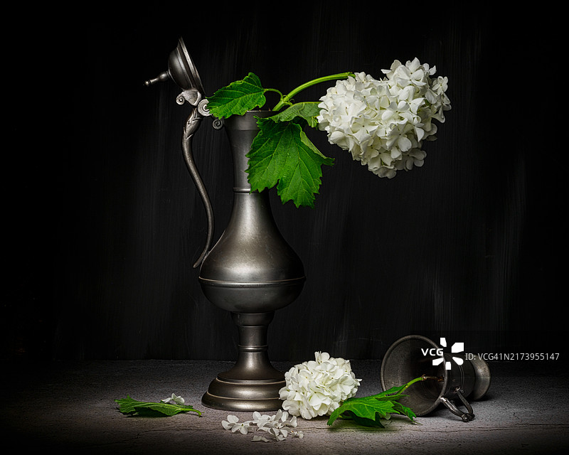 绣球花静物图片素材