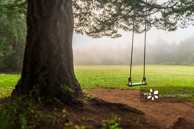 雾蒙蒙清晨大杉树上的秋千田园风光图片素材