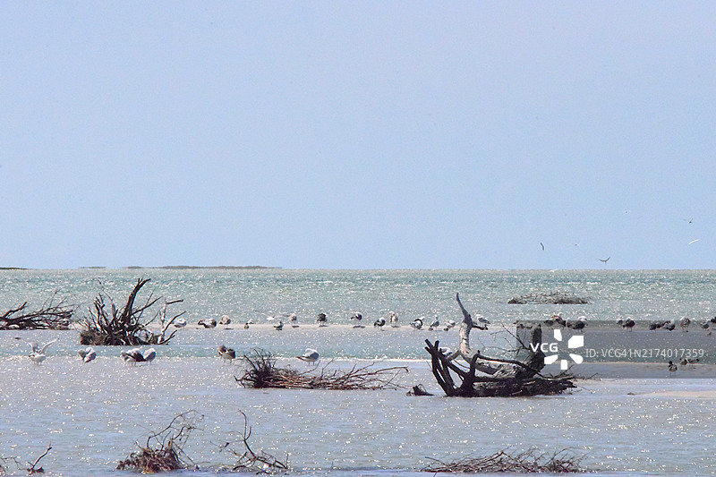莫诺莫伊国家野生动物保护区图片素材