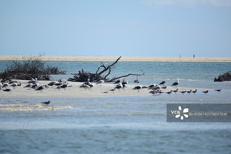 莫诺莫伊国家野生动物保护区图片素材