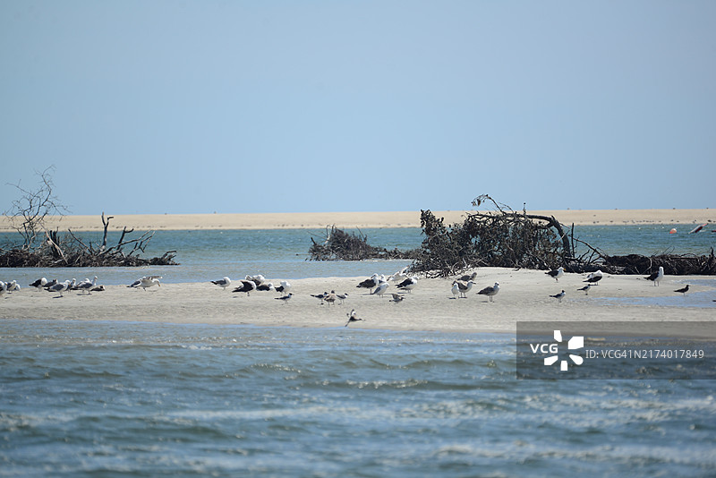 莫诺莫伊国家野生动物保护区图片素材