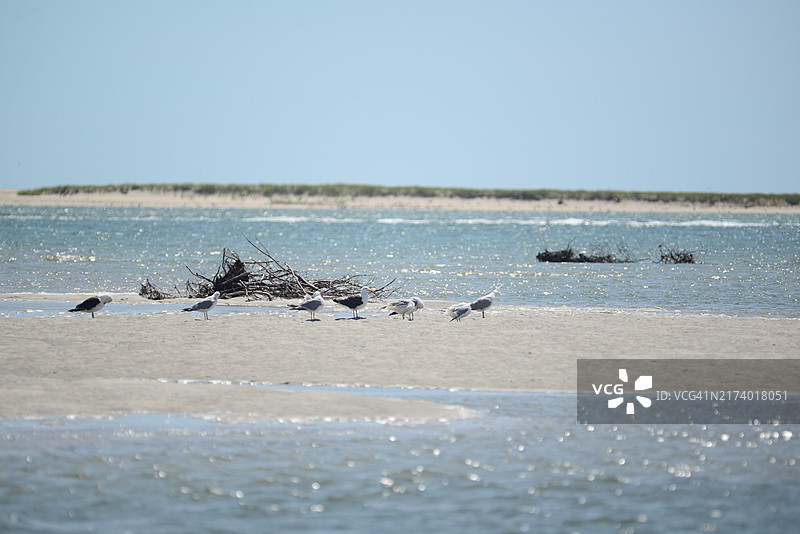 莫诺莫伊国家野生动物保护区图片素材