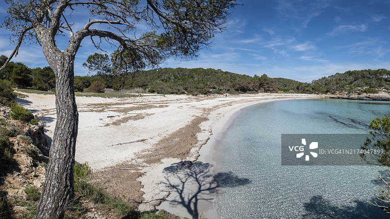 萨玛拉多海滩,蒙德拉戈自然公园,桑塔尼市,马略卡岛,巴利阿里群岛,西班牙,欧洲图片素材