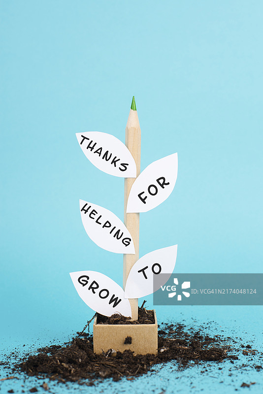 用铅笔和纸制作的植物，叶子上写着感谢帮助成长的短语，感谢卡，教育和商业概念图片素材