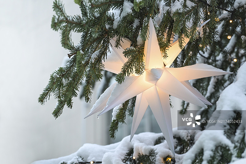 雪 covered圣诞冷杉树上悬挂的照明白色摩拉维亚星（德国 Herrnhuter Stern），作为节日装饰，复制空间，选定的焦点，窄景深图片素材
