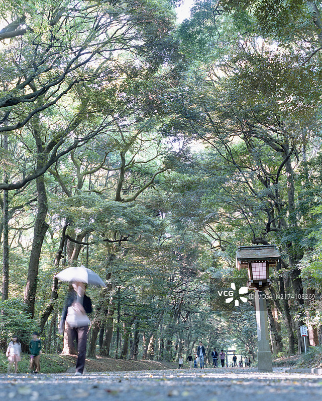 明治神宫，东京图片素材