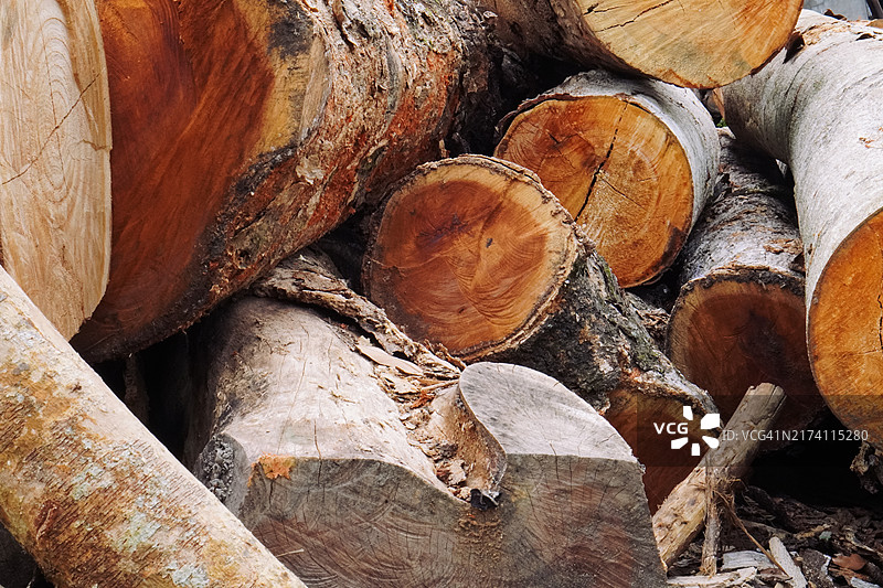 木柴堆背景图片素材