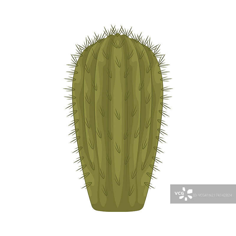 仙人掌图片素材
