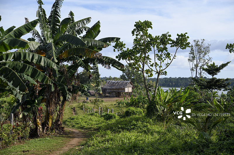 大洋洲巴布亚新几内亚西部省穆雷湖博托阿岛博托科姆村的小屋图片素材