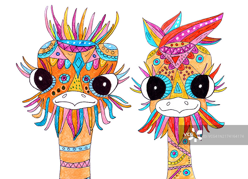 两只彩绘鸵鸟，白色背景图片素材