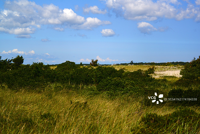 莫诺莫伊国家野生动物保护区图片素材