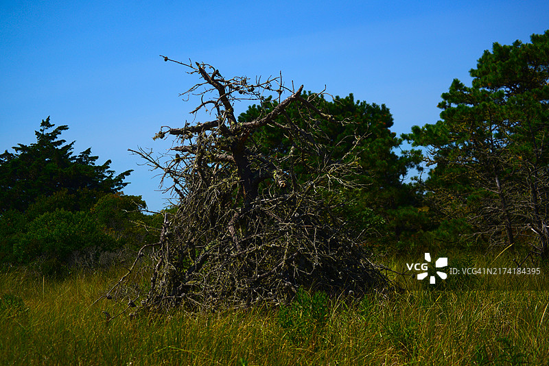 莫诺莫伊国家野生动物保护区图片素材