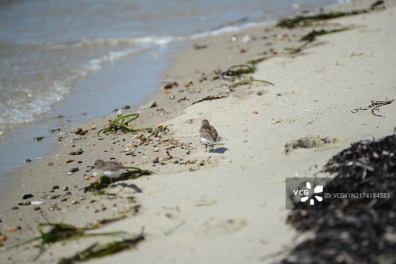 莫诺莫伊国家野生动物保护区图片素材