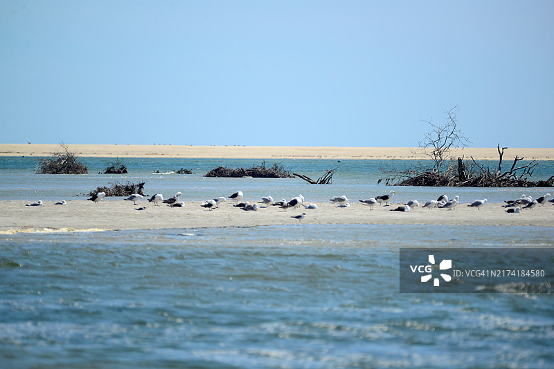 莫诺莫伊国家野生动物保护区图片素材
