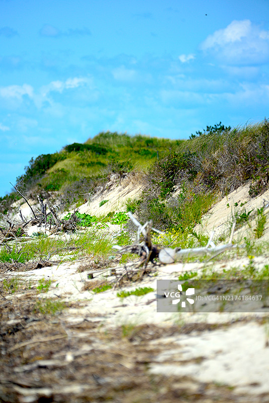 莫诺莫伊国家野生动物保护区图片素材