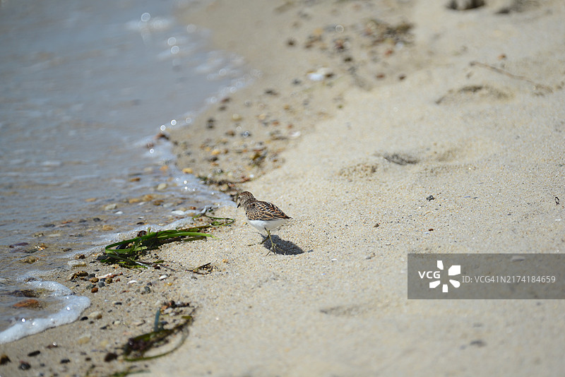 莫诺莫伊国家野生动物保护区图片素材