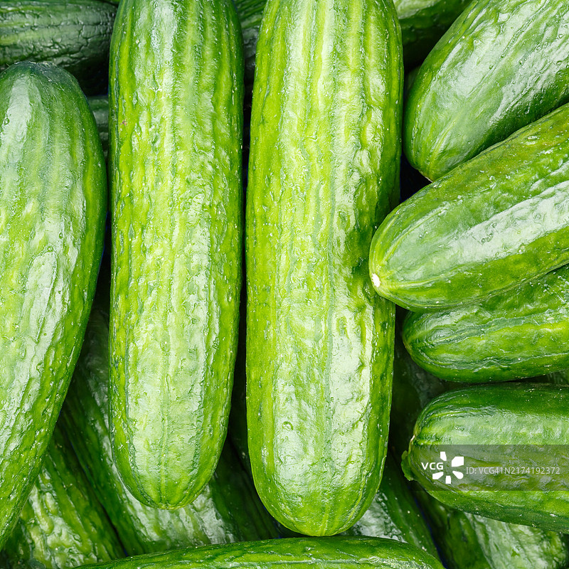 黄瓜蔬菜背景俯视图图片素材
