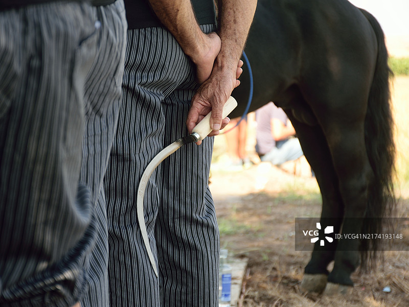 在卡塔罗（西班牙巴伦西亚），收割者用镰刀进行传统水稻收割图片素材