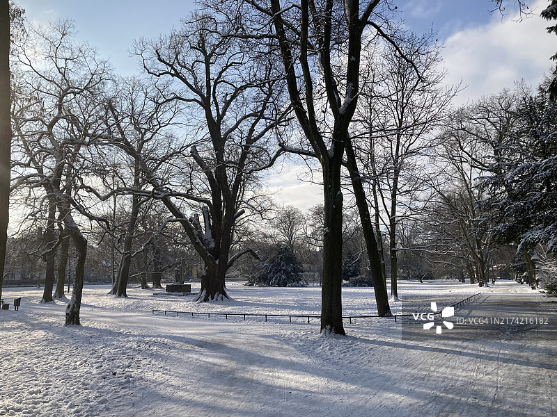 雪原树木与天空，德国法兰克福图片素材