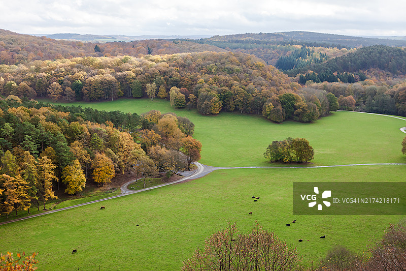 田野前秋树风光图片素材
