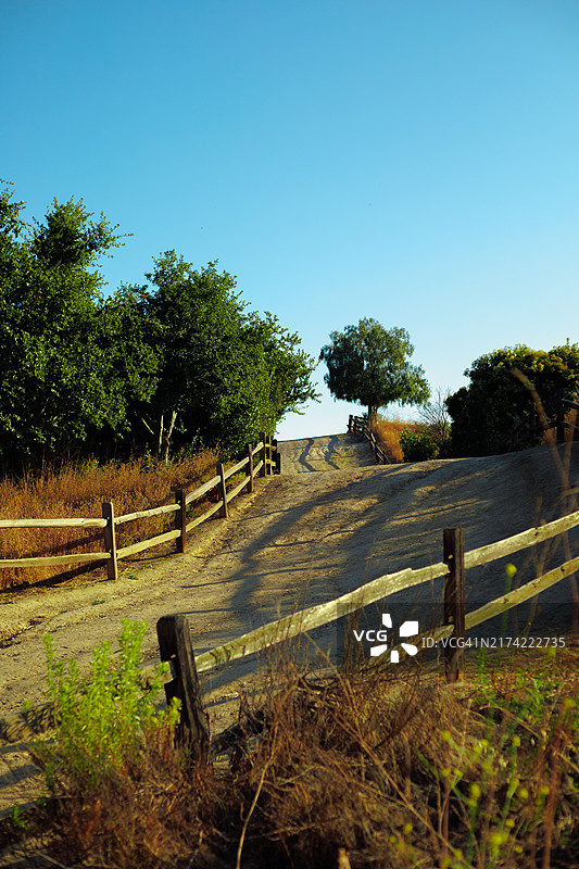 美国加利福尼亚州拉米拉达晴空下的田野树木图片素材