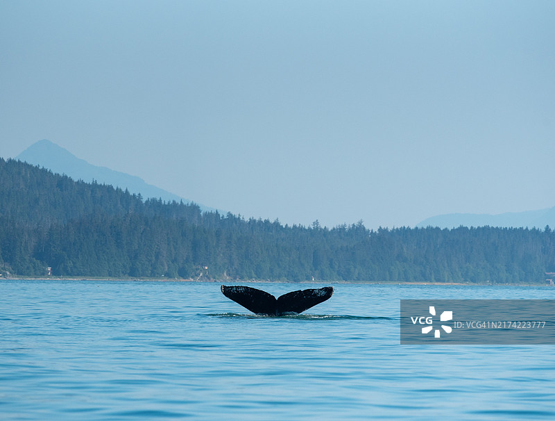 美国阿拉斯加州朱诺海景图片素材