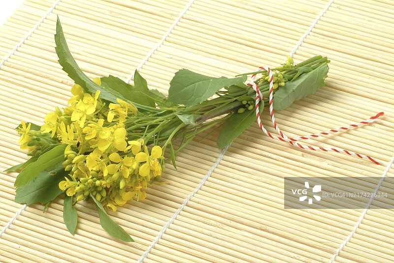 黑芥菜（Brassica nigra），十字花科芸苔属的植物，被广泛用作药用和有用的植物，或黑芥菜，是一种一年生植物，因其黑色或深棕色的种子而种植，这些种子通常图片素材
