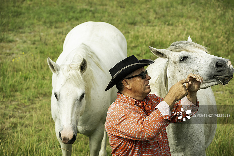 法国卡马格：牧场主照看他的骏马图片素材