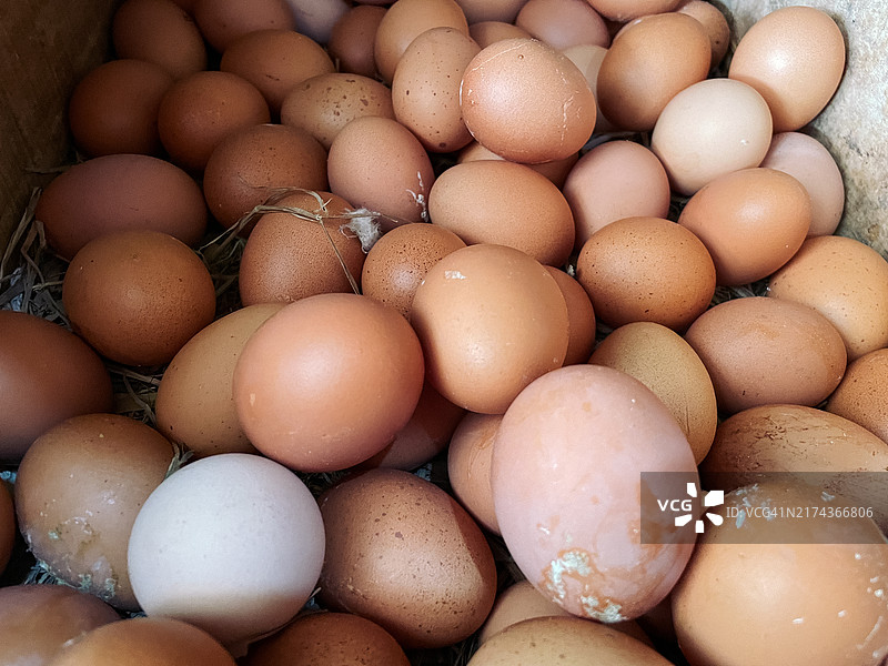新鲜鸡蛋图片素材