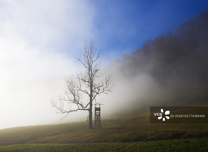 清晨雾气中位于森林边缘的猎人高位瞭望台，位于上奥地利州蒙德塞兰地区图片素材
