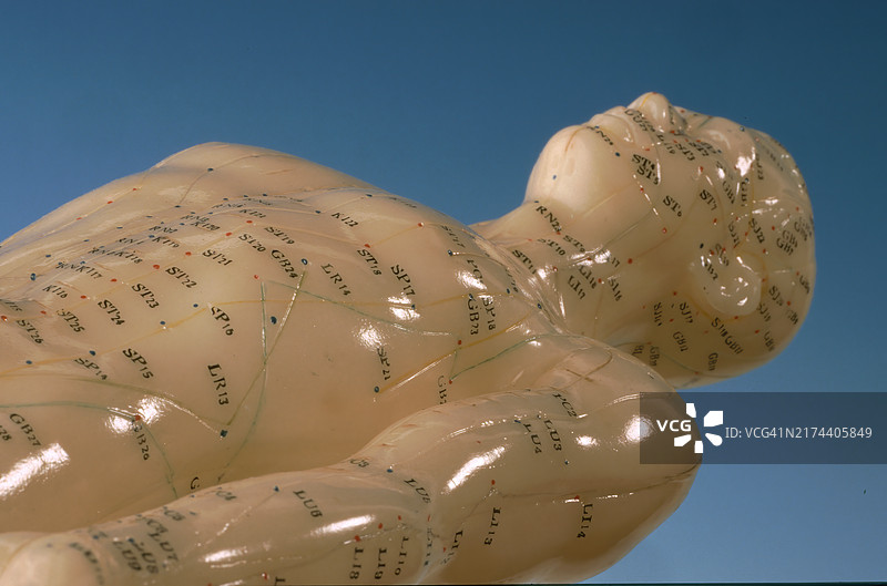 针灸，人体穴位，在替代疗法从业者的练习模型上显示图片素材